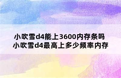 小吹雪d4能上3600内存条吗 小吹雪d4最高上多少频率内存